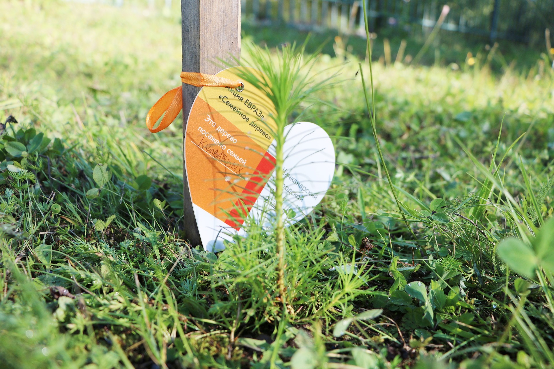 Фото - ЕВРАЗ провел в Качканаре экологические акции «Семейное дерево» и «Клумба своими руками»